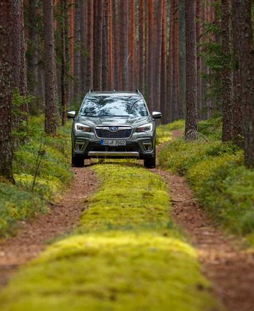 Forester e-BOXER_high-141-199454